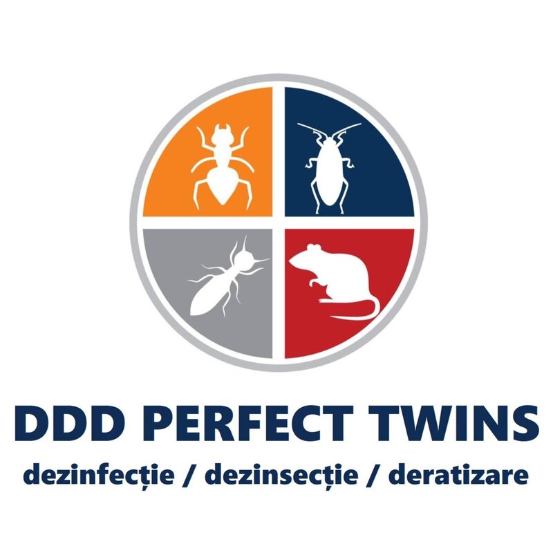 Ddd Perfect Twins